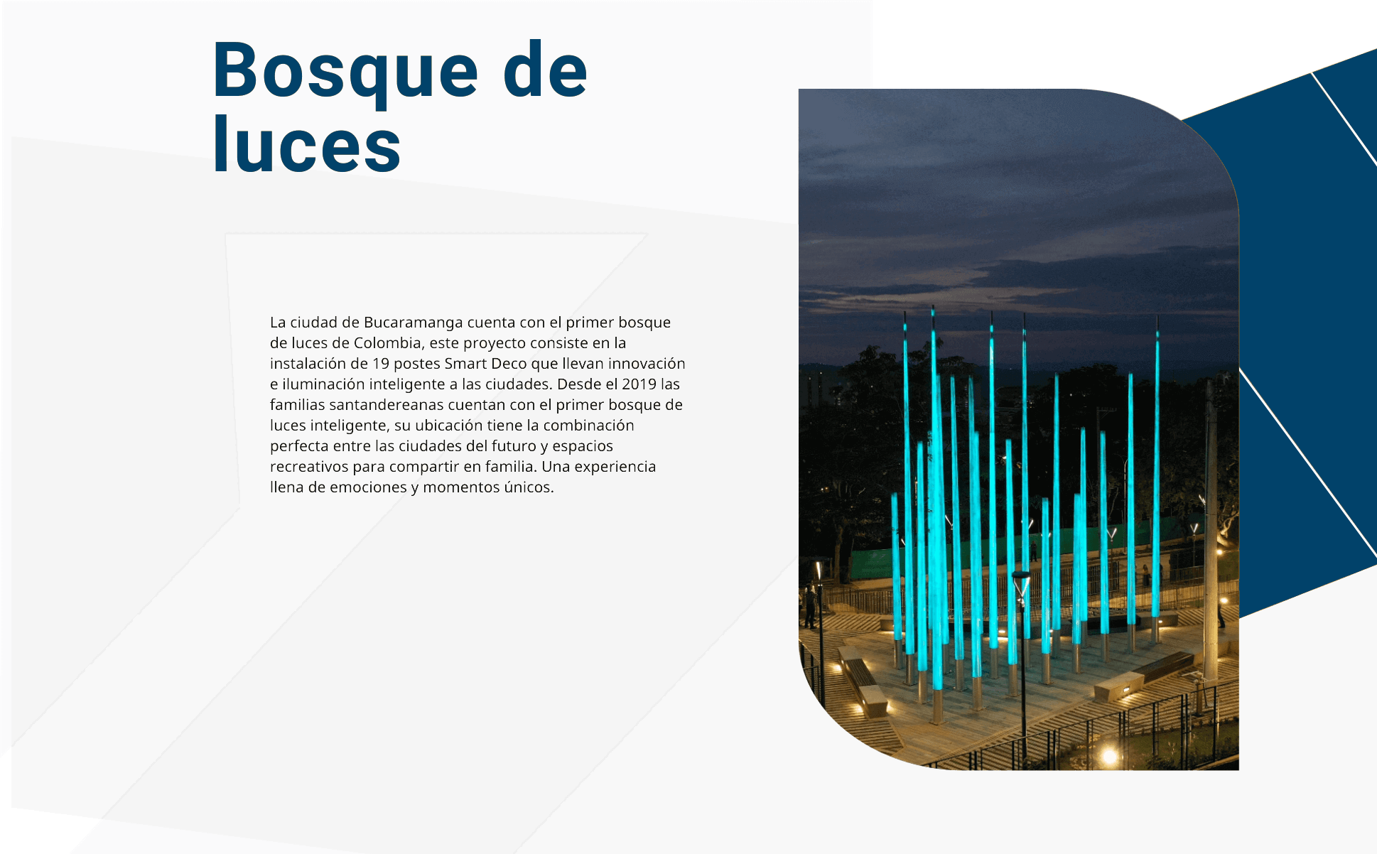 Bosque-de-luces-slider1-1